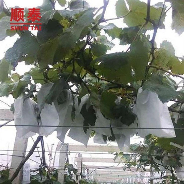 Fruit bag non-woven fabrics